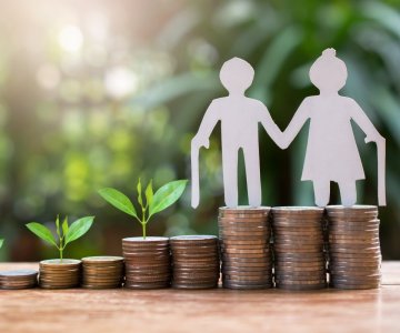 Bireysel Emeklilik Sigortası